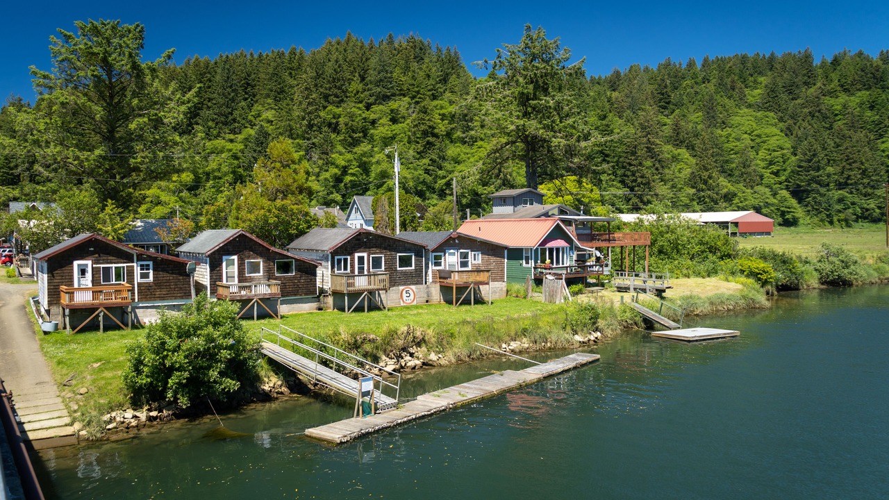 Photo of Outdoor in Woods