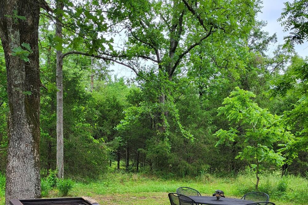 Photo of Outdoor in Proctor