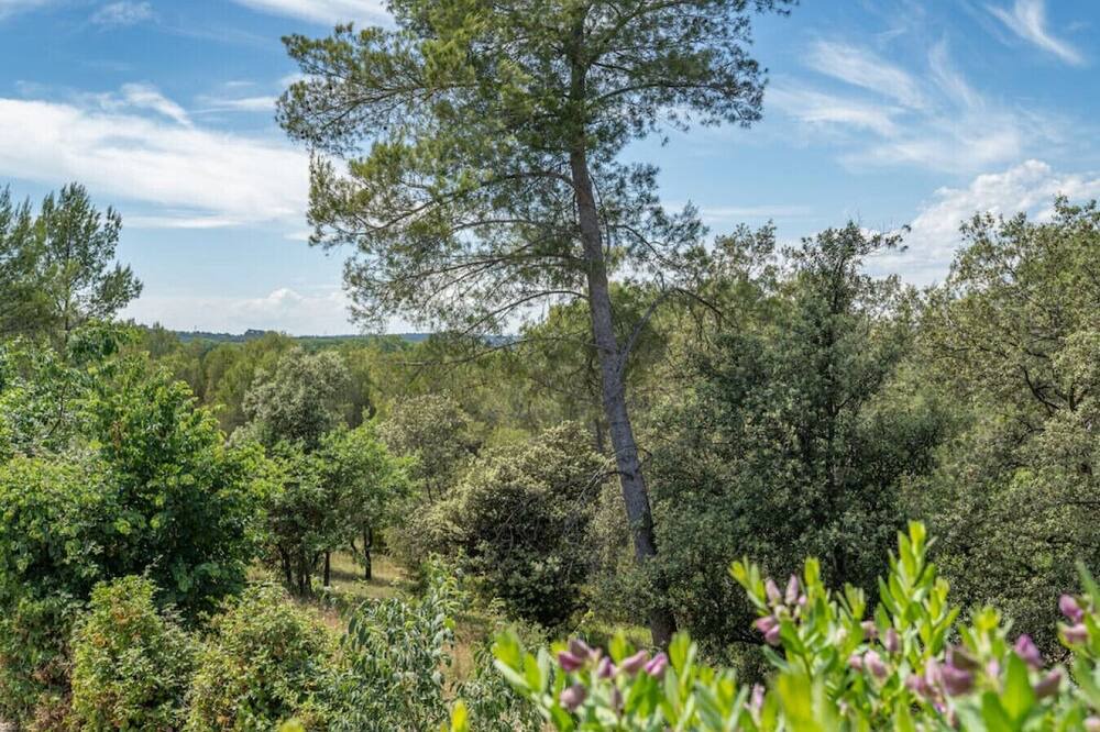Photo of Others in Castelnau-le-Lez