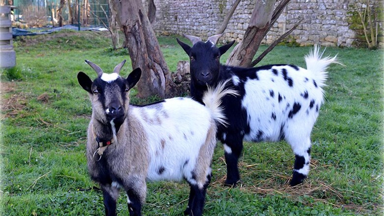 Photo of Outdoor in Bois