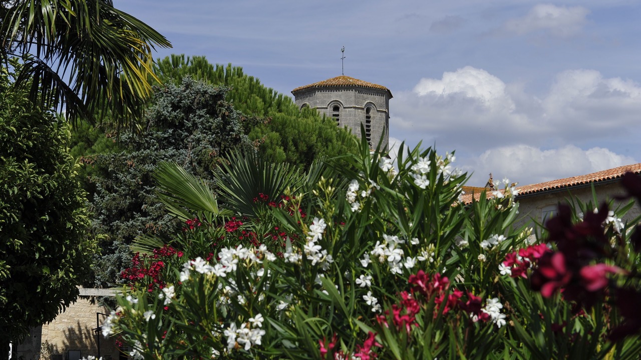 Photo of Outdoor in Bois