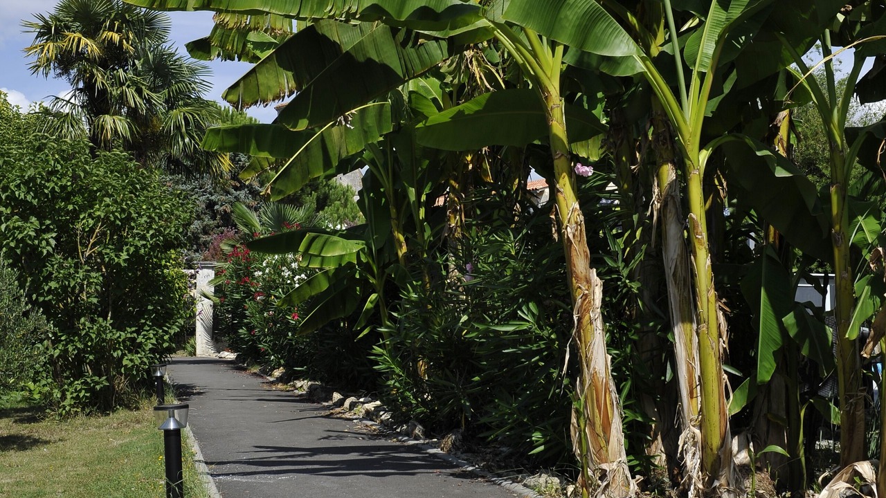 Photo of Outdoor in Bois