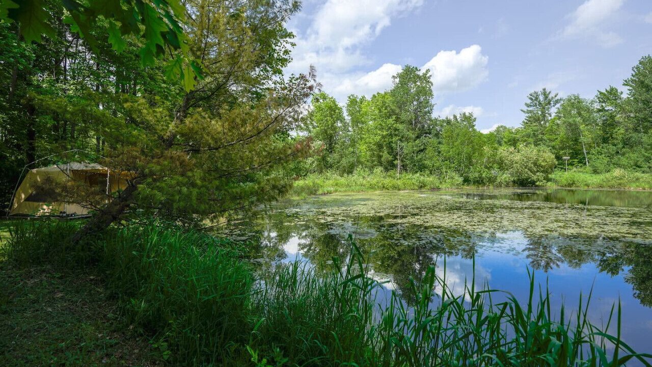 Photo of Outdoor in Pine City