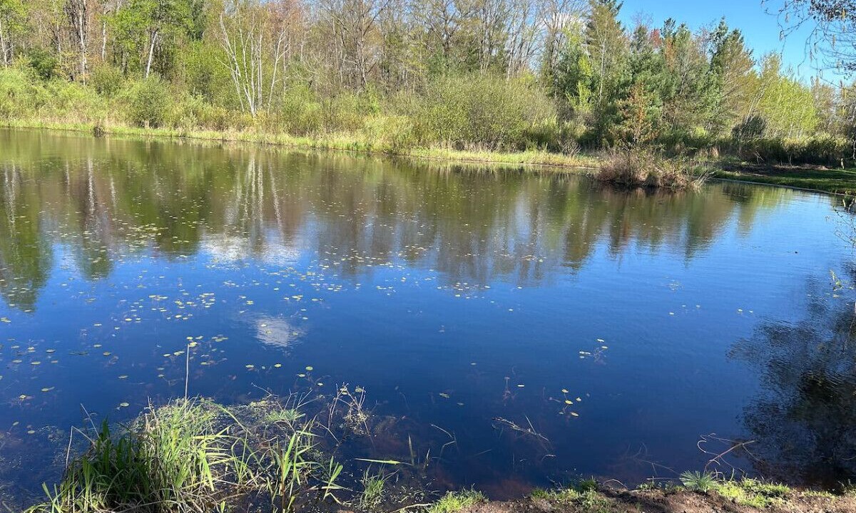Photo of Outdoor in Pine City