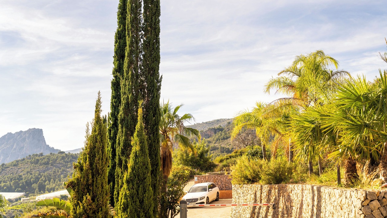 Photo of Outdoor in Bolulla
