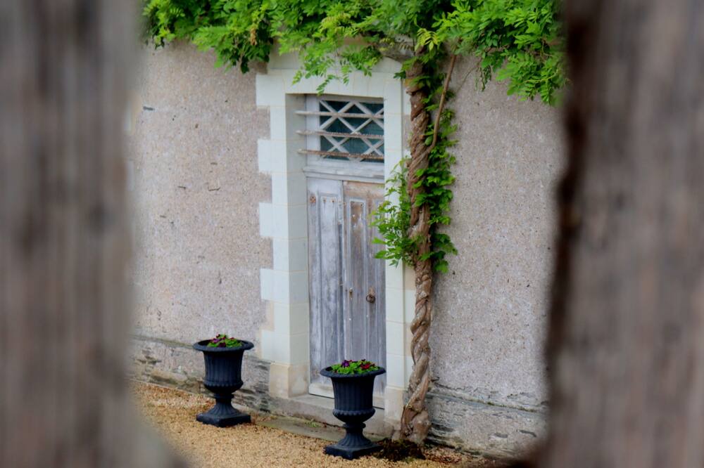 Photo of Others in Saint-Melaine-sur-Aubance