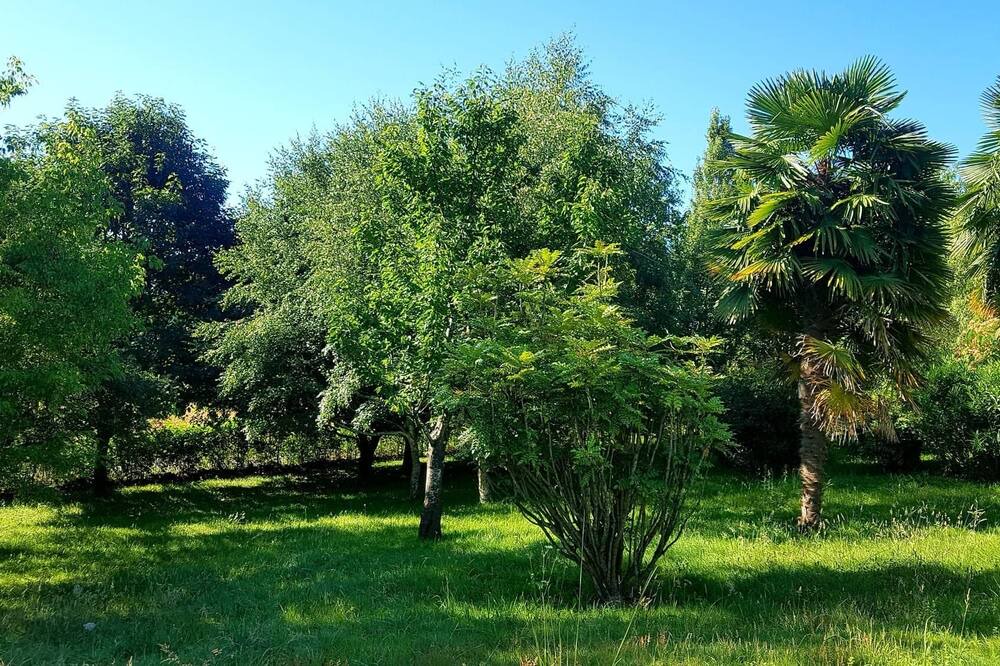 Photo of Outdoor in Bonnefont