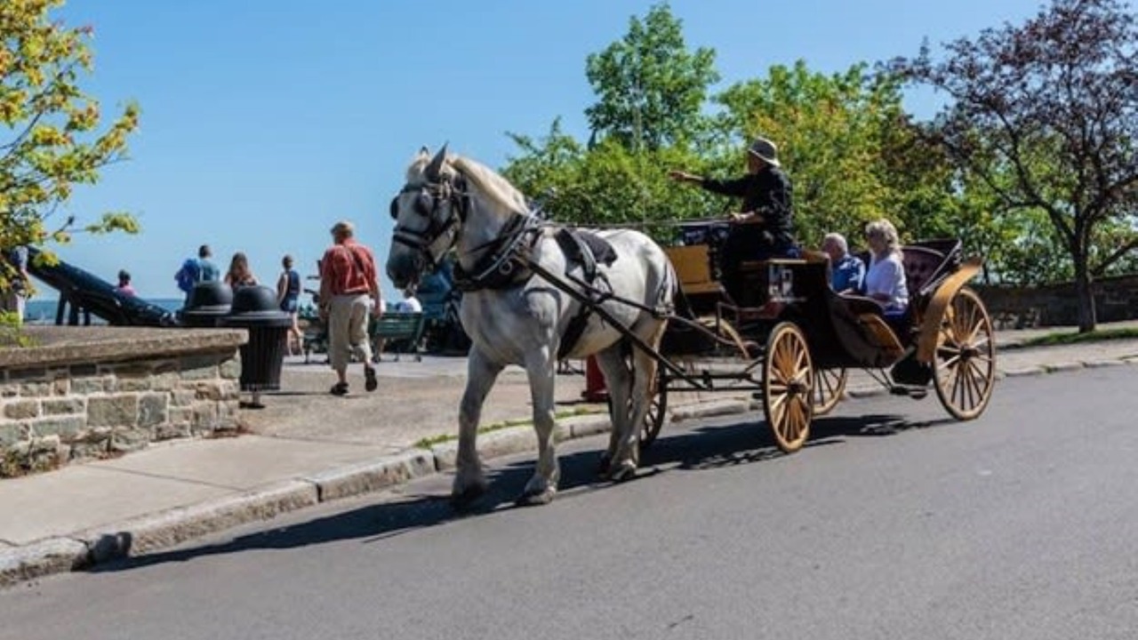 Photo of Outdoor in Old Quebec