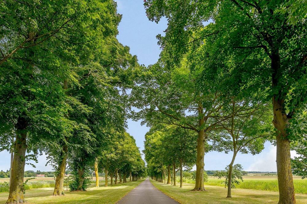 Photo of Outdoor in Lincoln