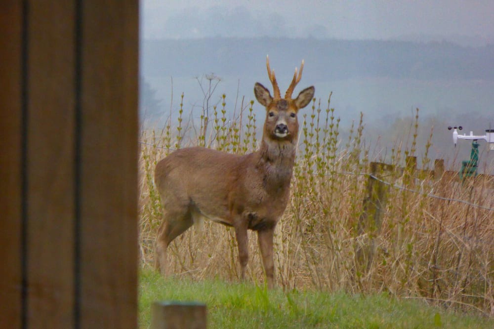 Photo of Outdoor in Mauchline