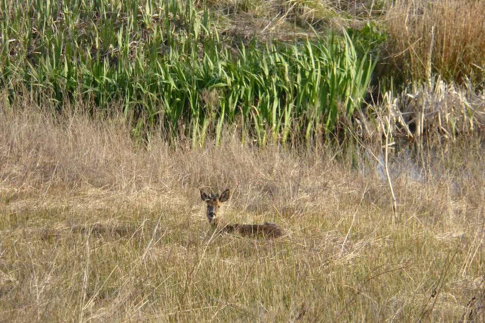 Photo of Outdoor in Mauchline