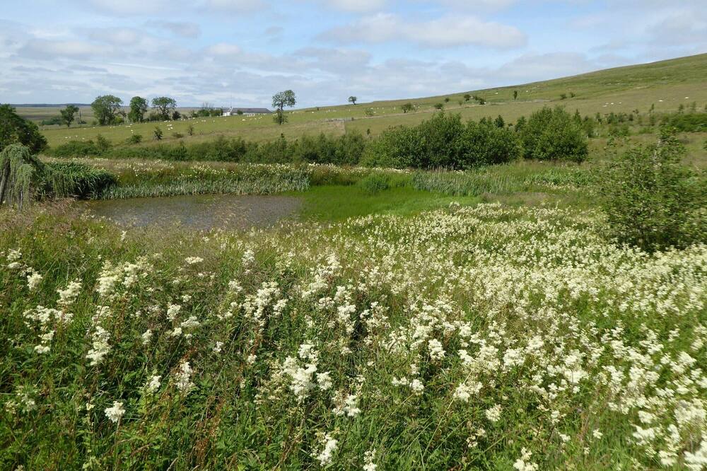 Photo of Outdoor in Mauchline