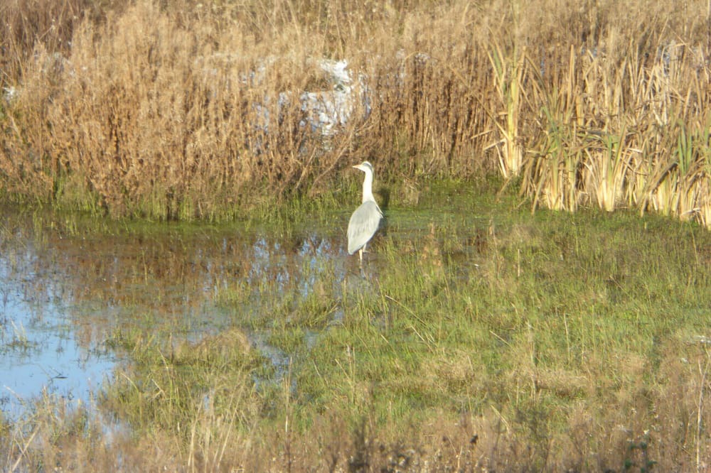 Photo of Others in Mauchline