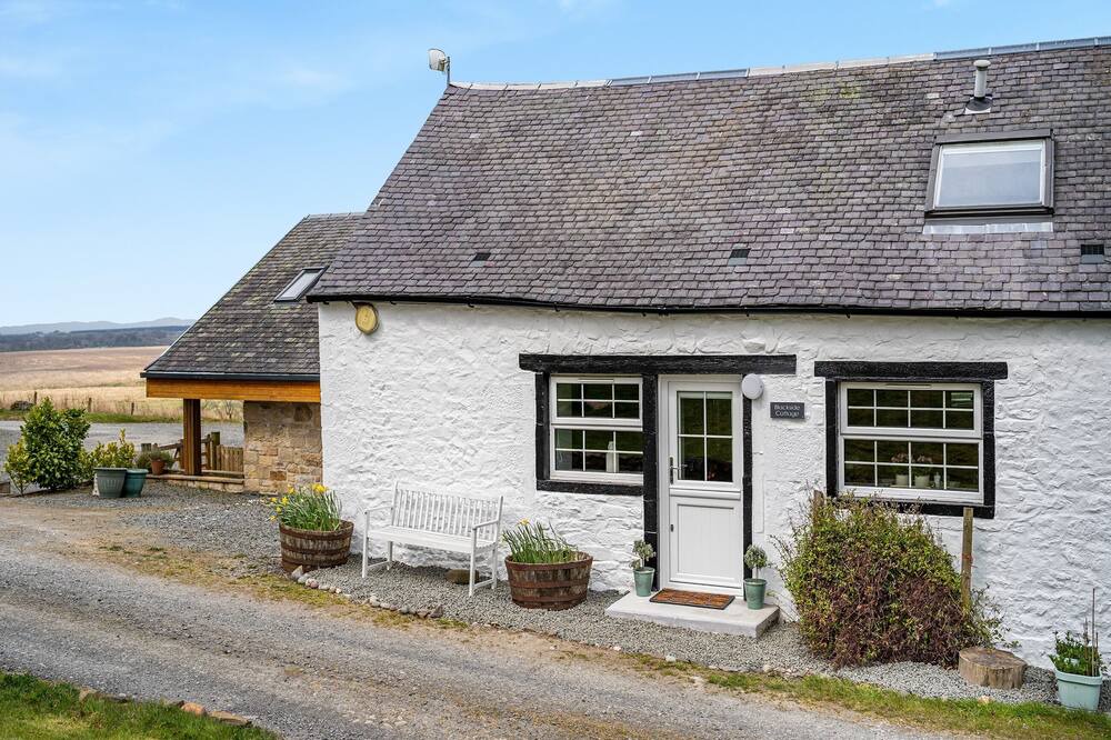 Photo of Outdoor in Mauchline