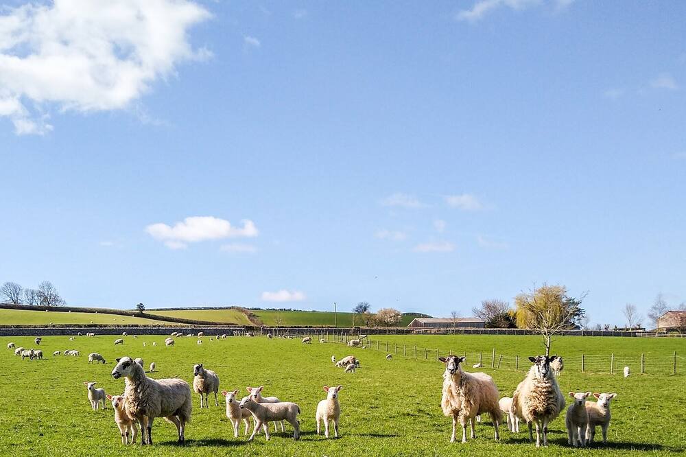 Photo of Others in Meathop