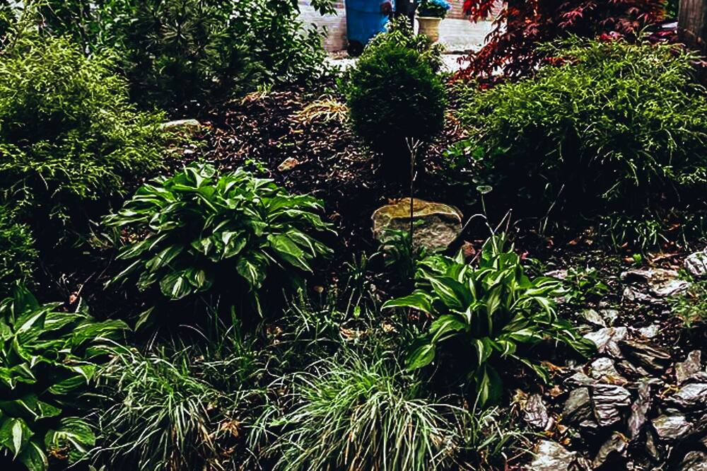 Photo of Outdoor in North Adams