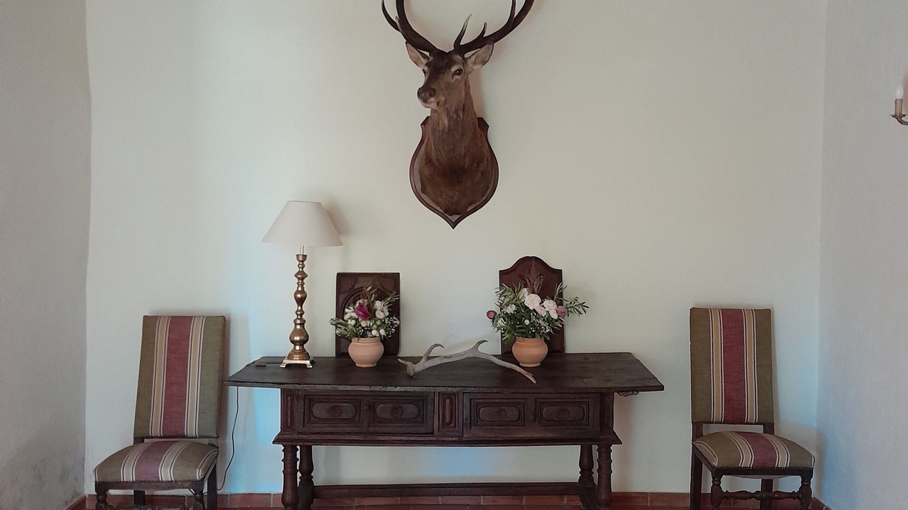 Photo of Others in Torderes