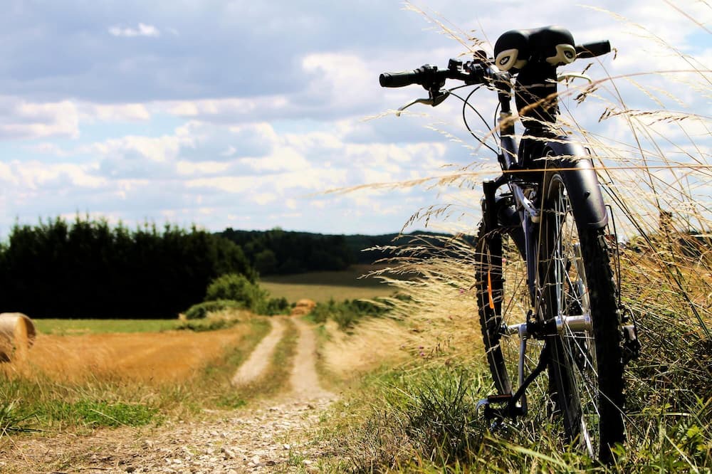 Photo of Others in Argonne Ardennaise