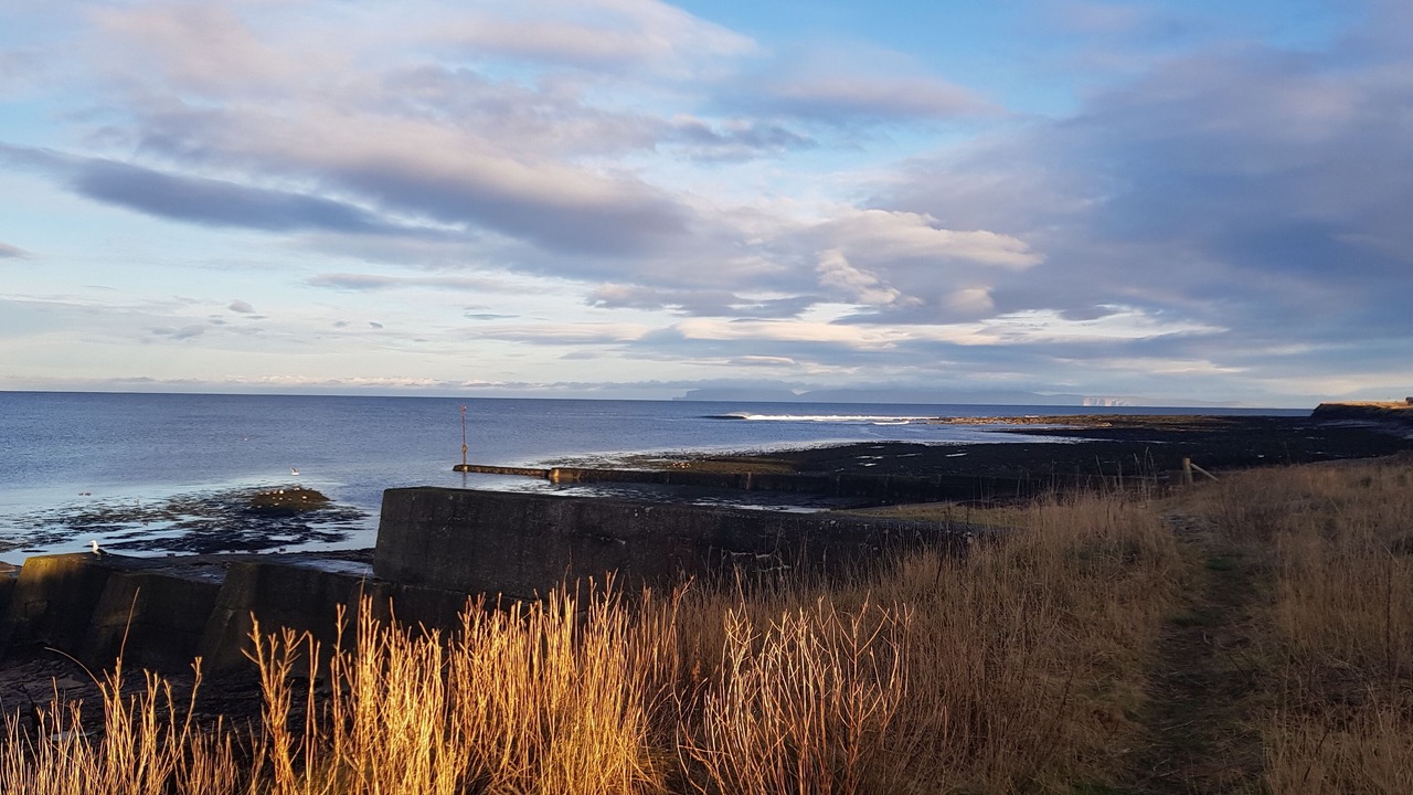 Photo of Others in Thurso