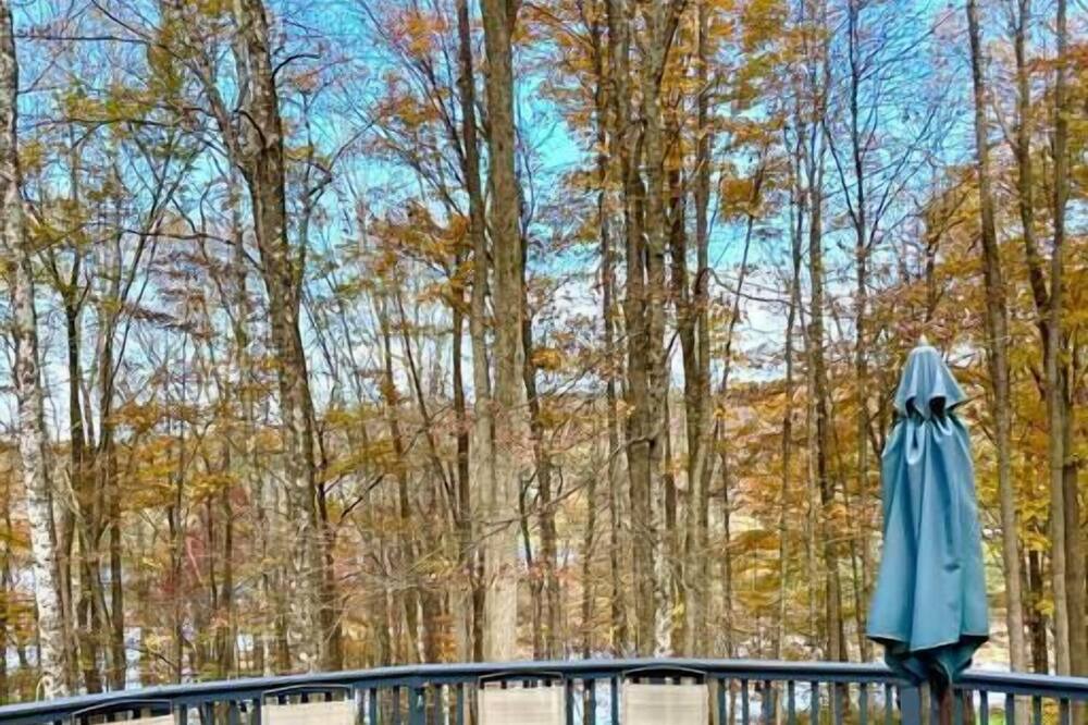 Photo of Others in Jeffersonville