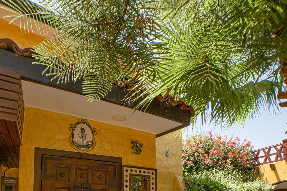 Photo of Patio Balcony in Los Algodones
