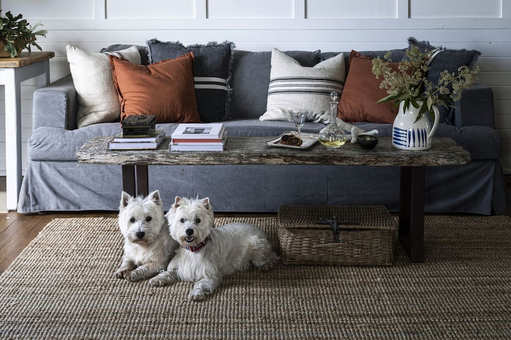 Photo of Livingroom in Milsons Passage