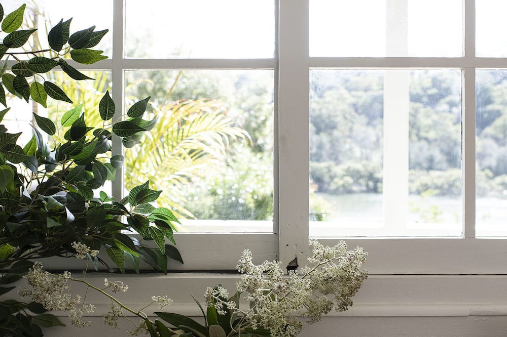 Photo of Others in Milsons Passage