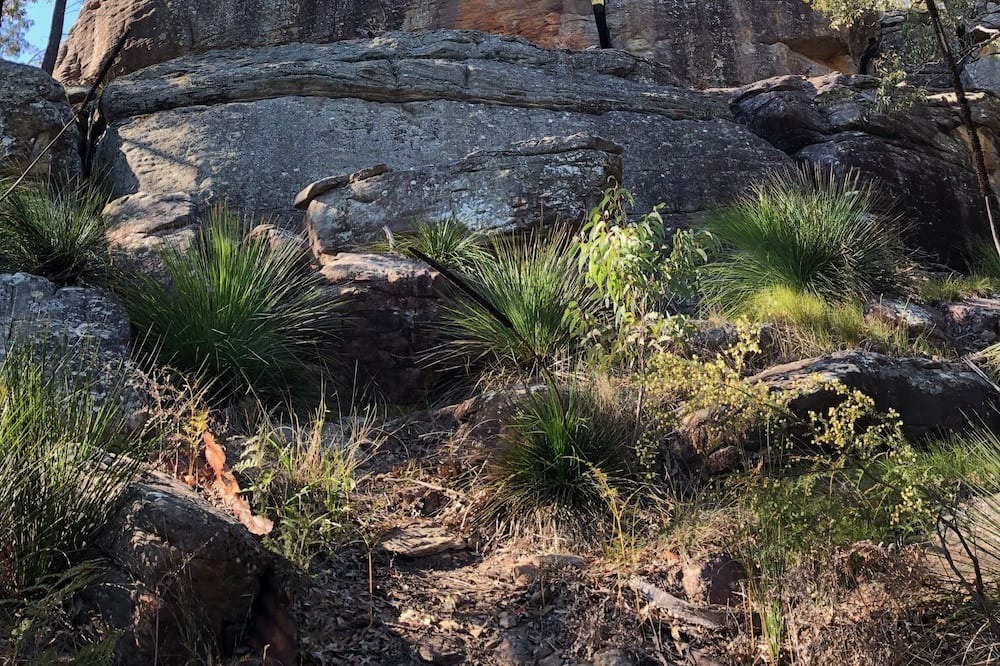 Photo of Outdoor in Milsons Passage