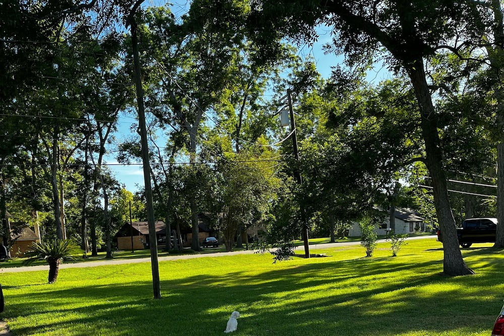 Photo of Outdoor in Bailey's Prairie