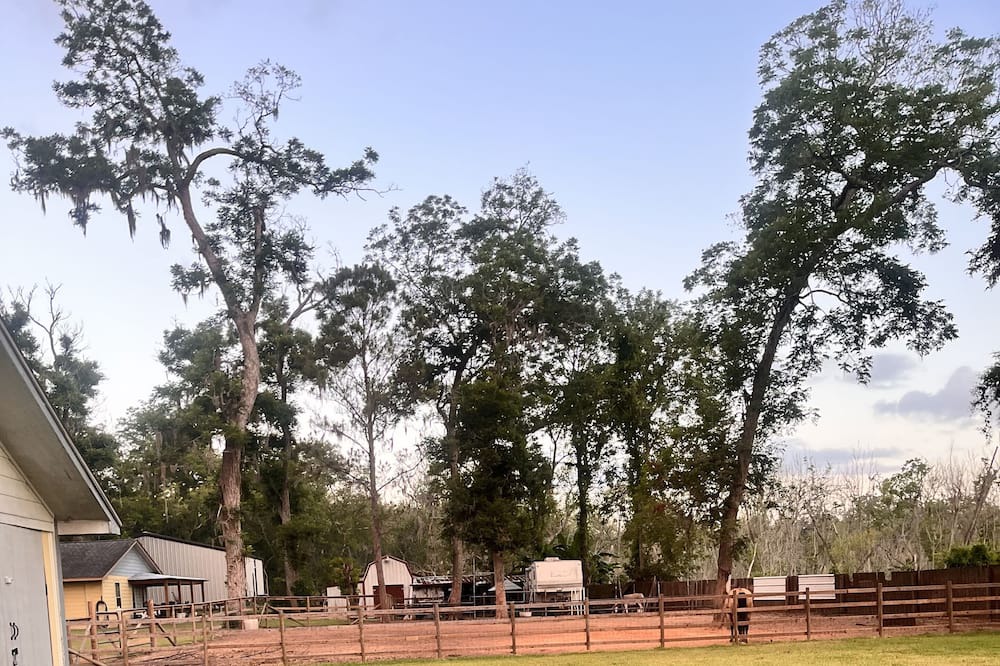 Photo of Outdoor in Bailey's Prairie