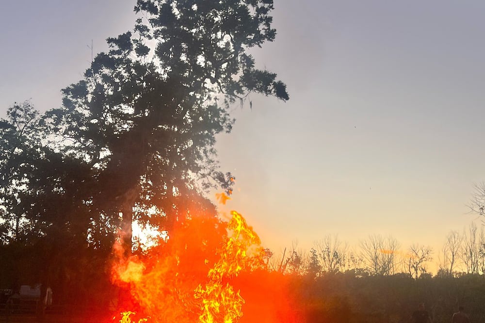 Photo of Outdoor in Bailey's Prairie