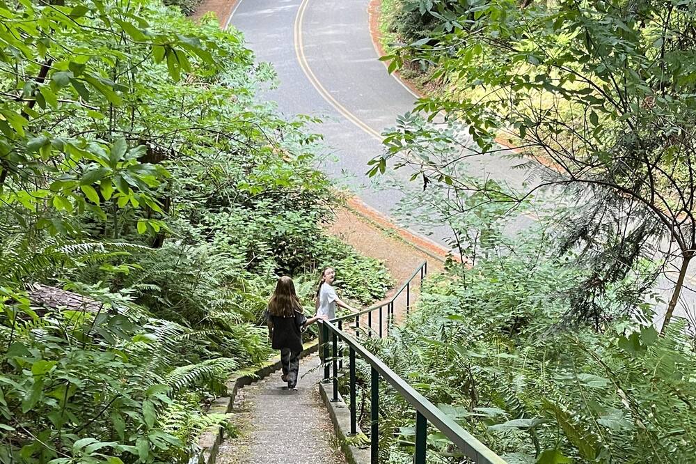 Photo of Outdoor in South Forest Park