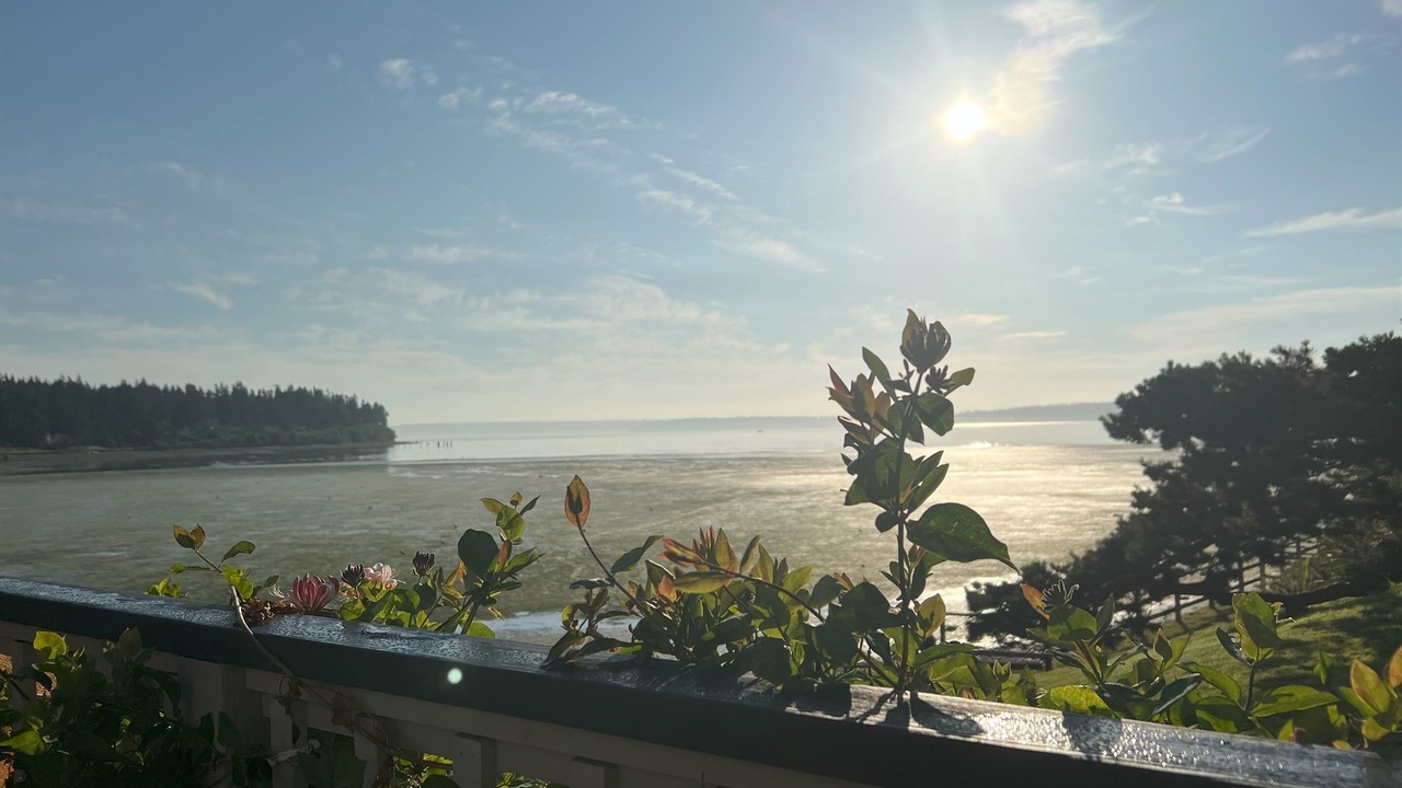 Photo of Outdoor in Rollingbay