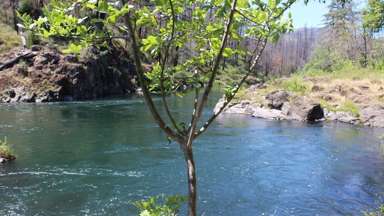 Photo of Outdoor in Roseburg