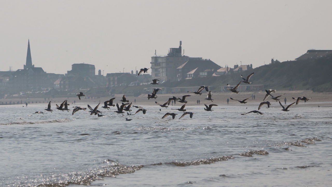 Photo of Others in Bridlington Old Town