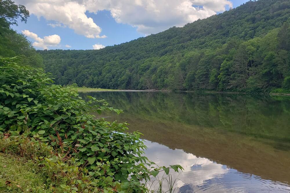 Photo of Others in Long Eddy