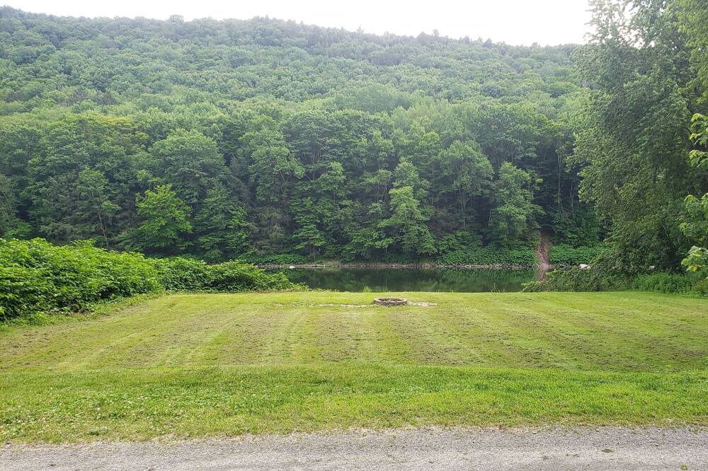 Photo of Outdoor in Long Eddy