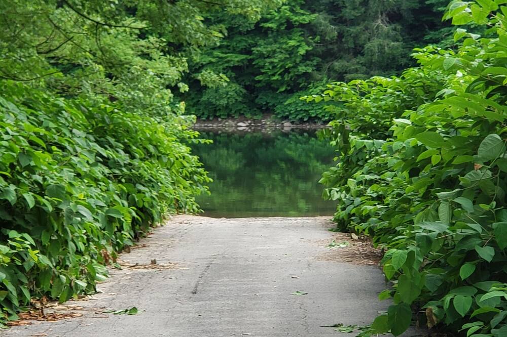 Photo of Outdoor in Long Eddy