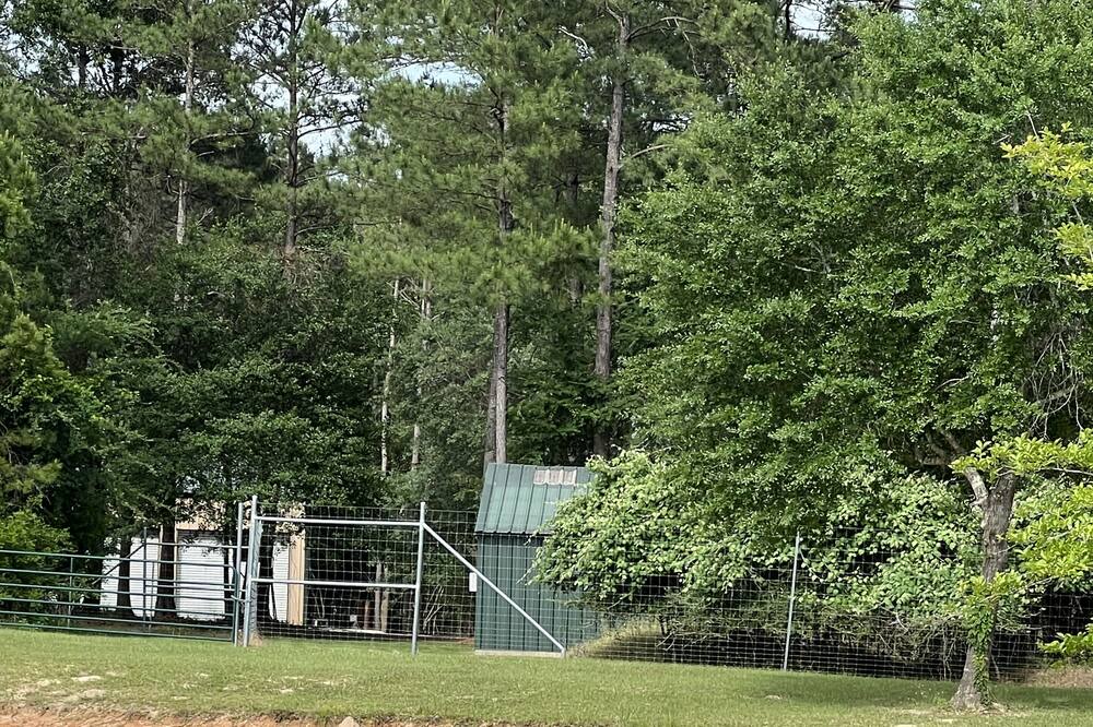 Photo of Outdoor in Navasota