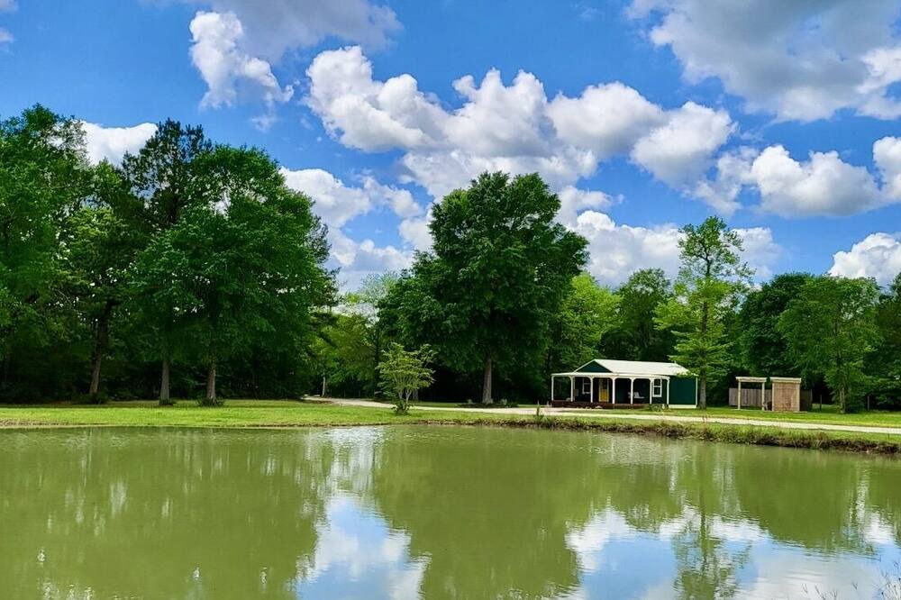 Photo of Outdoor in Navasota