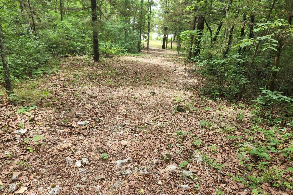 Photo of Outdoor in Rocky Mount