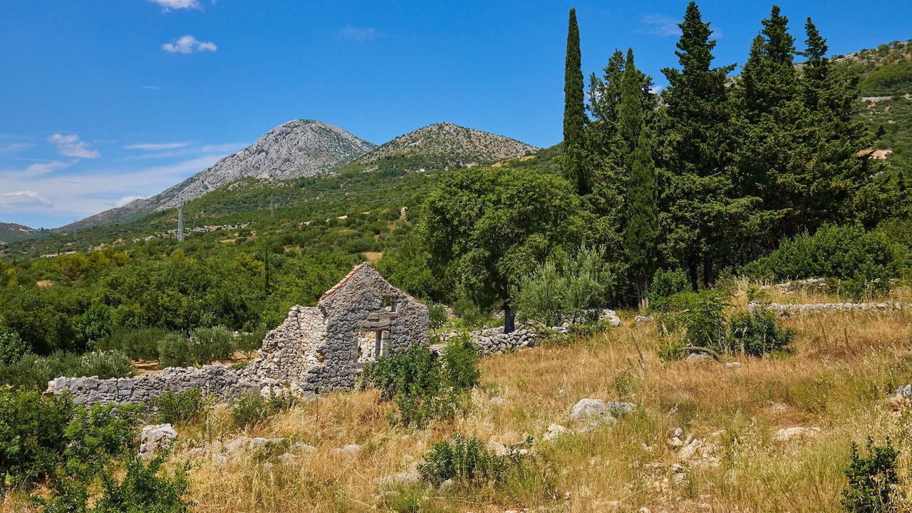 Photo of Others in Banici