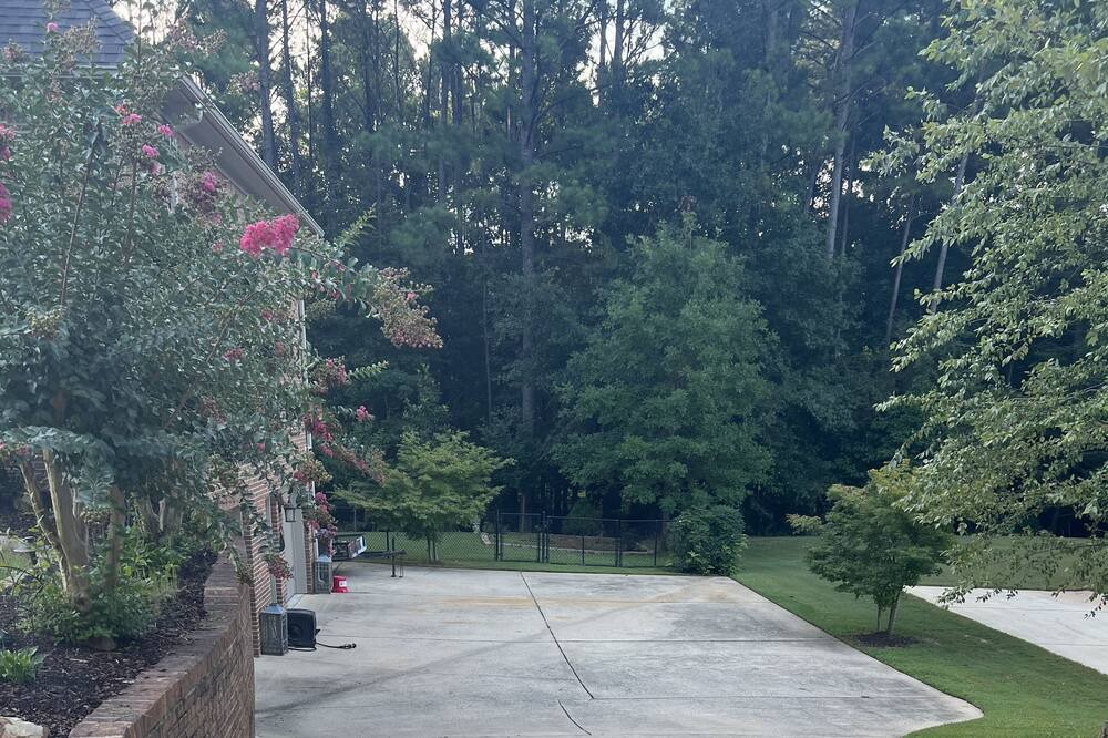 Photo of Others in Pelham
