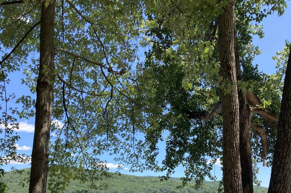 Photo of Others in Edinburg