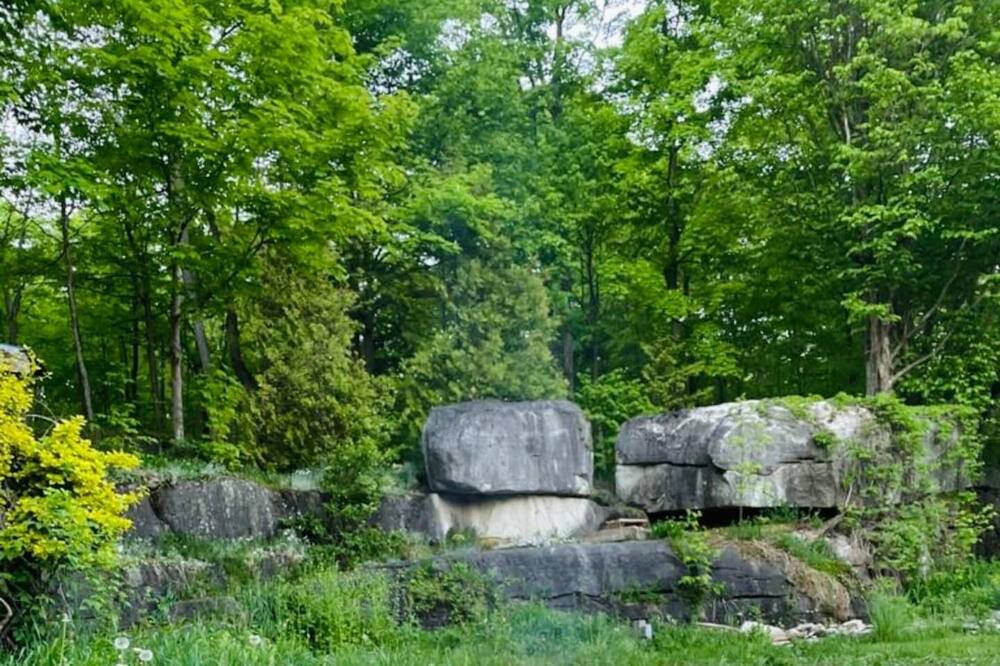 Photo of Outdoor in Colpoys Bay
