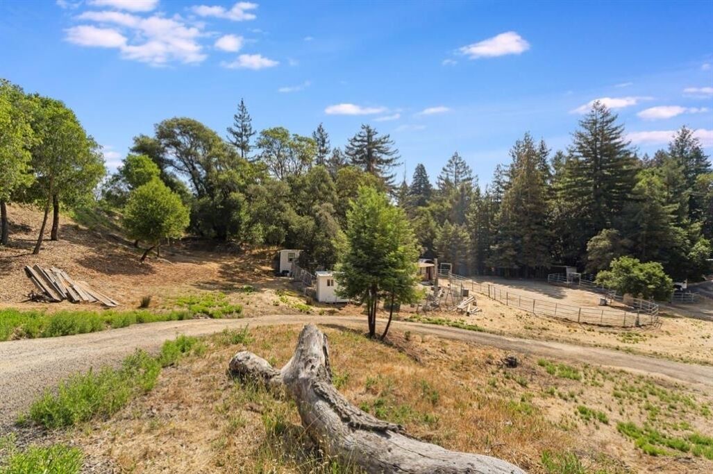 Photo of Outdoor in Scotts Valley