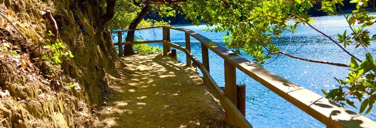 Photo of Outdoor in Scotts Valley