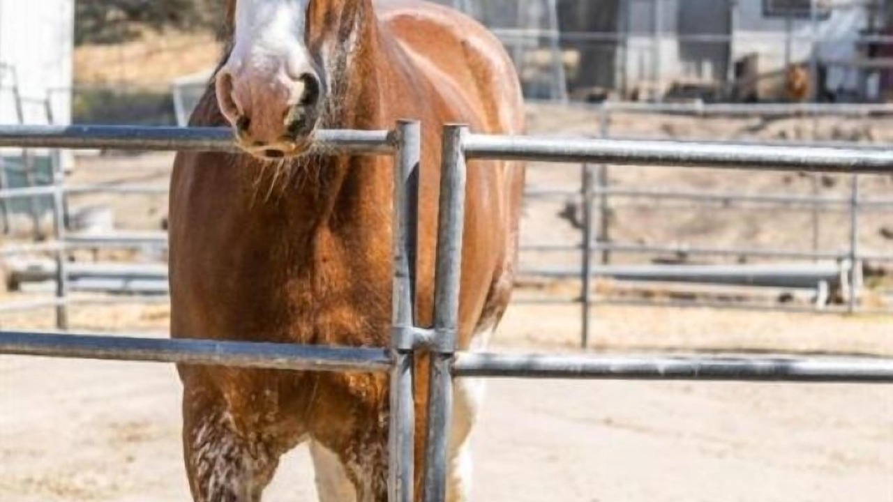 Photo of Outdoor in Scotts Valley