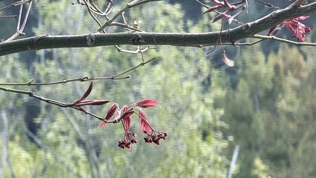 Photo of Outdoor in Scotts Valley