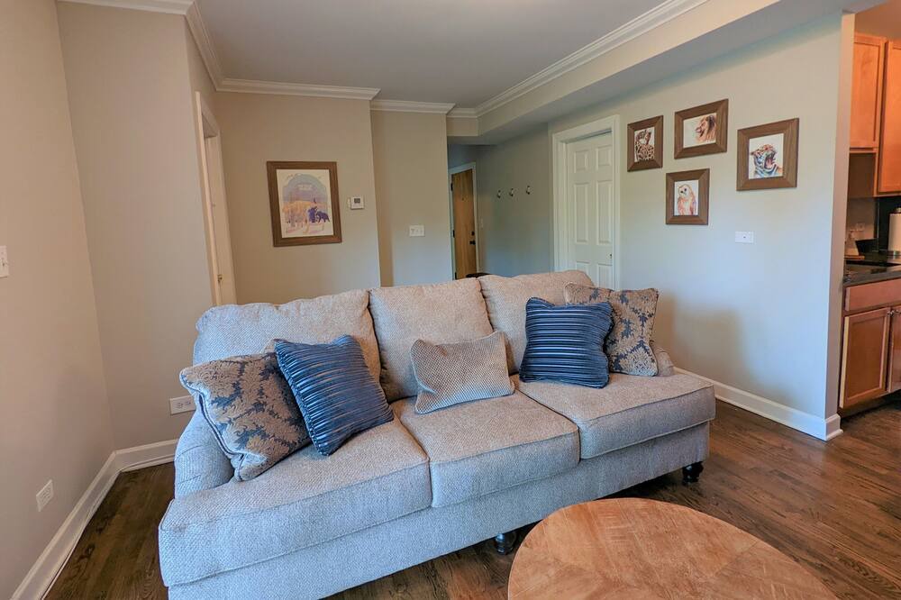 Photo of Livingroom in Albany Park